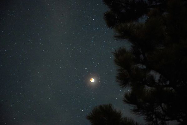 Full Moon in Aquarius - August 9th 2025