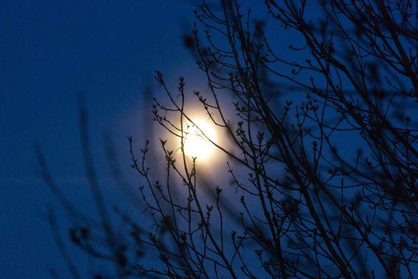 New Moon in Taurus – April 28th (AEST)