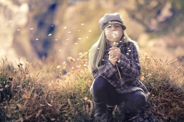 Hayfever & Sinus Allies