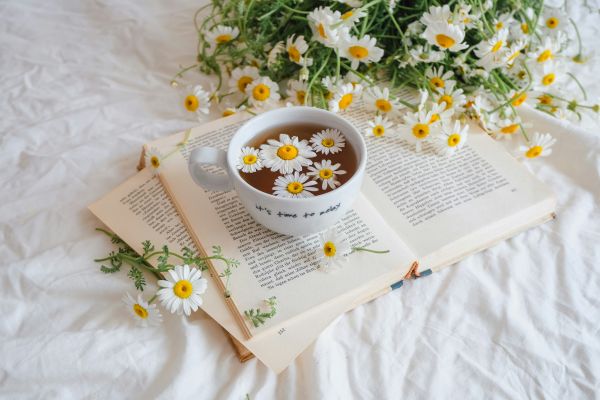 Spring Detox Group Workshop