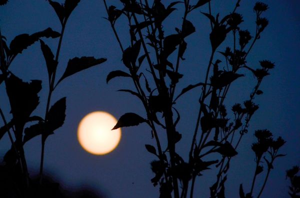 Full Moon Partial Lunar Eclipse in Pisces- 28 August 2026