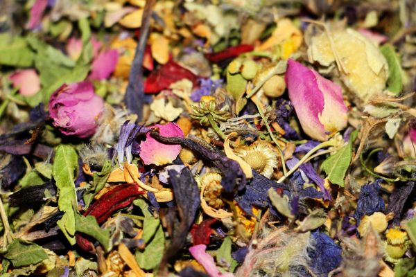 Women’s Wellness Open Day 2026 | Lithgow NSW