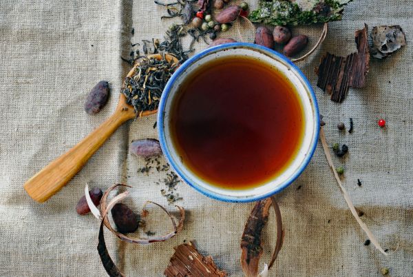 Preparing for Autumn: Herbal Guide to Immunity & Grounding