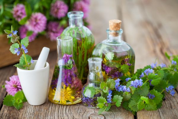 Liquid herbal tonic for daily wellbeing support