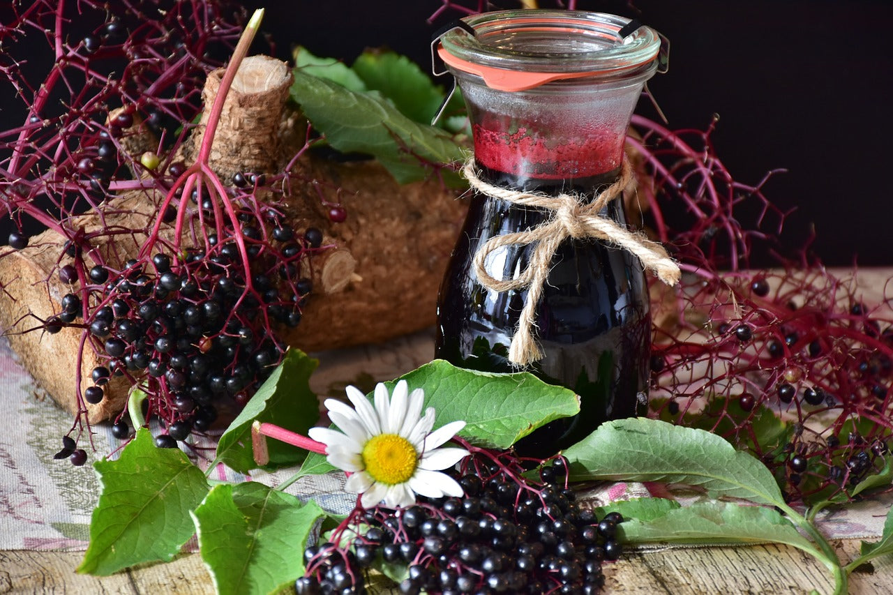 Elderberry Syrup