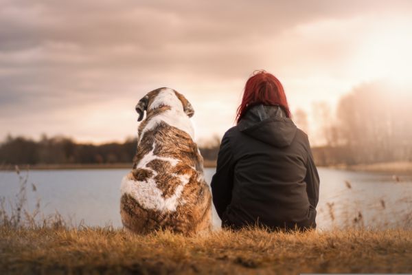 Person and dog sitting together on a grassy area by a body of water at sunset.