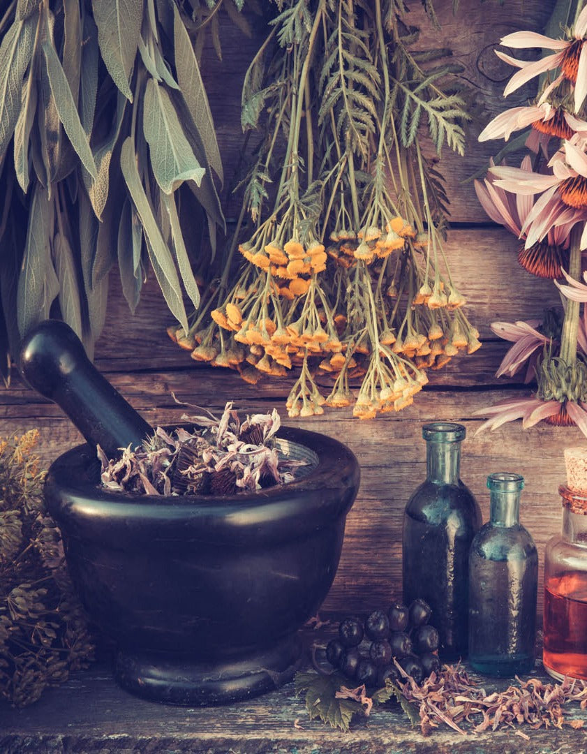 What is Herbal Medicine?